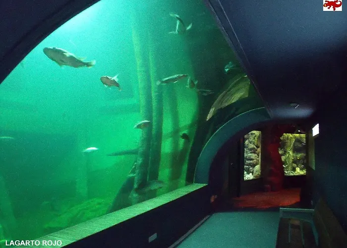 Daire Check-in 24h Plaza Espana Amplio Centro Planta 4